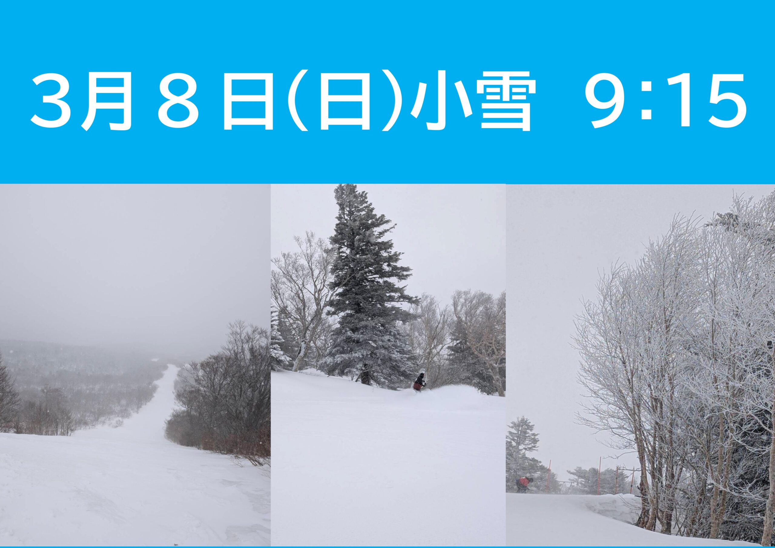 日々のゲレンデコンディションをお届けいたします ｜ みやぎ蔵王えぼし
